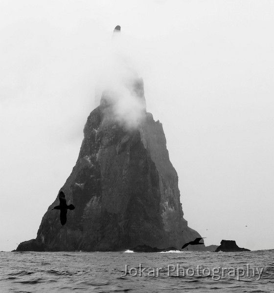 Lord Howe Island_20061213_093.jpg